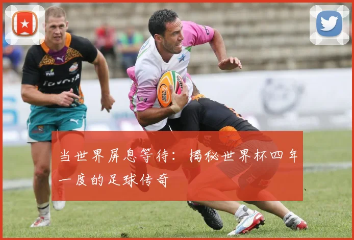 当世界屏息等待：揭秘世界杯四年一度的足球传奇