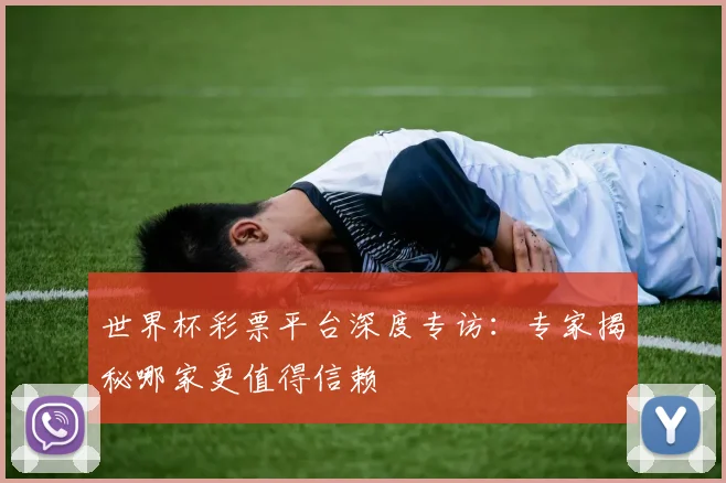 世界杯彩票平台深度专访:专家揭秘哪家更值得信赖