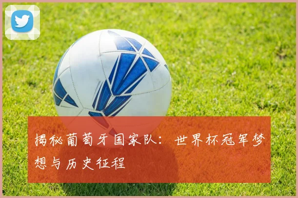 揭秘葡萄牙国家队：世界杯冠军梦想与历史征程